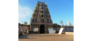 161. திரு இரும்பூளை (ஆலங்குடி)